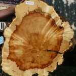Box Elder Burl Cookie