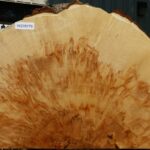 Extra Fancy Box Elder Slice