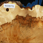 Extra Fancy Box Elder Slice