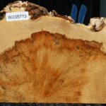 Extra Fancy Box Elder Slice