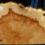 Extra Fancy Box Elder Slice