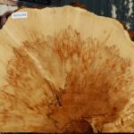 Box Elder Burl Cookie