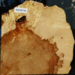 Extra Fancy Box Elder Slice