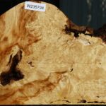 Box Elder Burl Slice