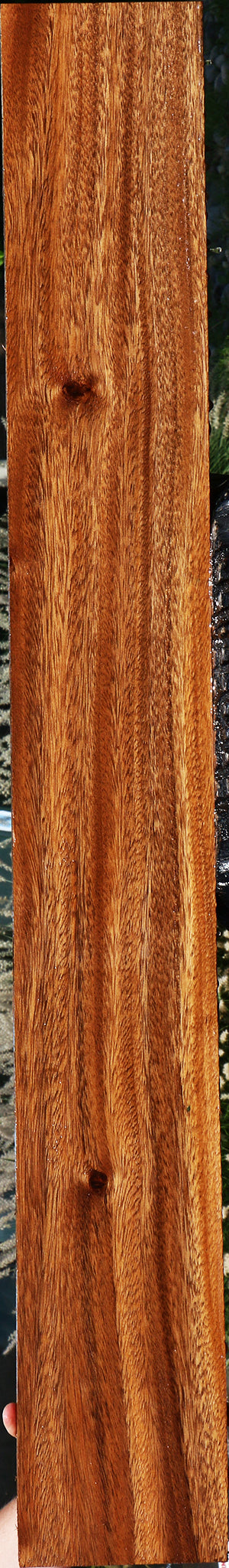 235825_1_4e7707d4-649f-4be7-a355-439b28de5e31 Figured Monkeypod Lumber - Image 1