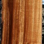 Figured Quartersawn Monkeypod Lumber