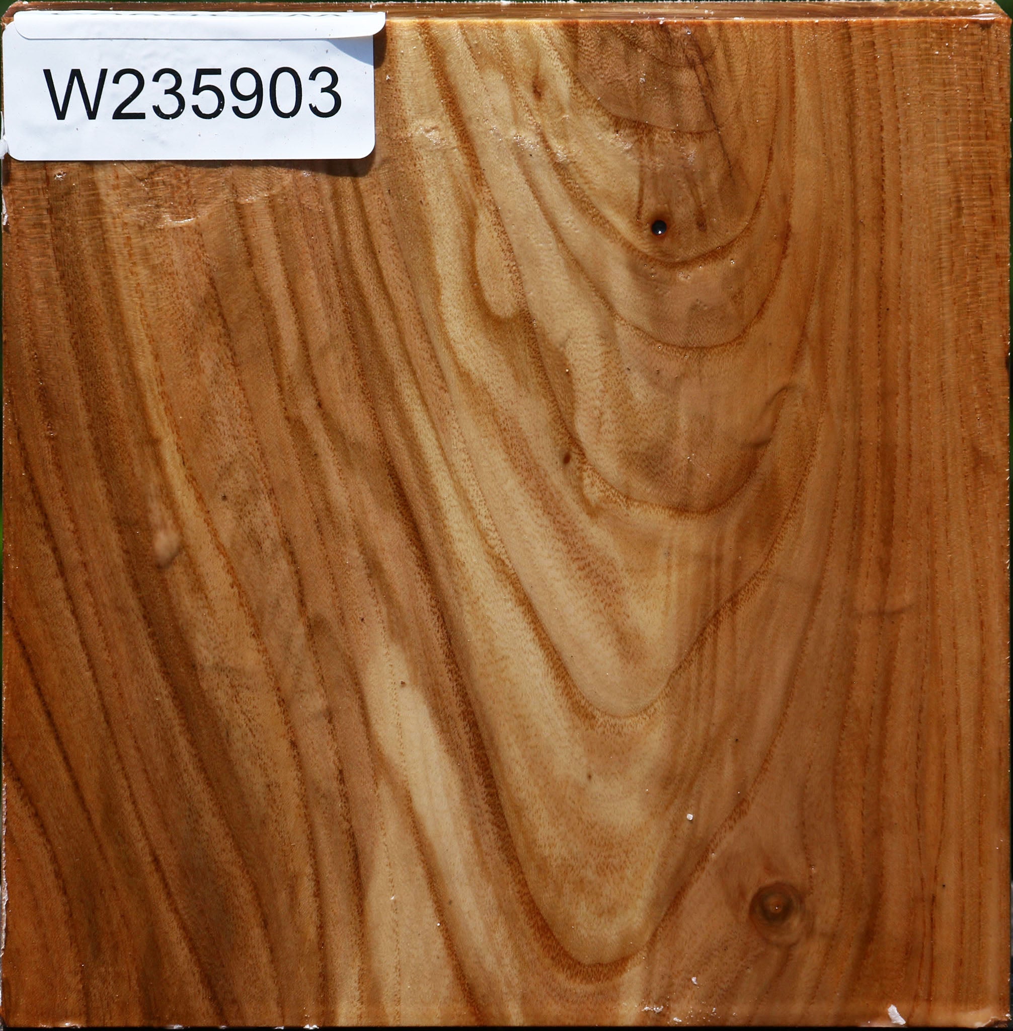 235903_1_7b84bd45-bff8-40b7-834b-2faf923ad751 Figured Chinese Elm Bowl Blank - Image 1