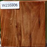 Chinese Elm Bowl Blank