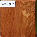 Chinese Elm Bowl Blank