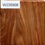 Chinese Elm Bowl Blank