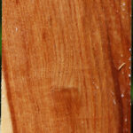 Chinese Elm Turning Square