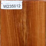 Chinese Elm Bowl Blank