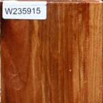 Chinese Elm Bowl Blank