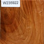 Chinese Elm Bowl Blank