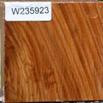 Chinese Elm Bowl Blank