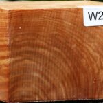 Chinese Elm Bowl Blank