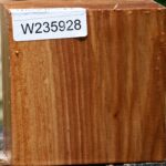 Chinese Elm Bowl Blank