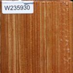 Chinese Elm Bowl Blank