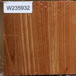 Chinese Elm Bowl Blank