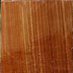 Chinese Elm Bowl Blank