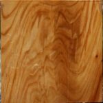 Figured Chinese Elm Bowl Blank