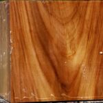 Figured Chinese Elm Bowl Blank