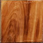 Chinese Elm Bowl Blank