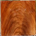 Figured Chinese Elm Bowl Blank