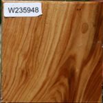 Chinese Elm Bowl Blank