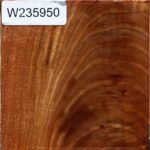 Chinese Elm Bowl Blank