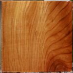 Chinese Elm Bowl Blank