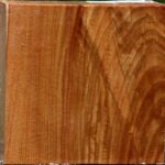 Chinese Elm Bowl Blank