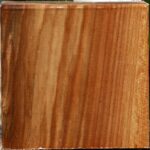 Chinese Elm Bowl Blank