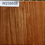 Chinese Elm Bowl Blank