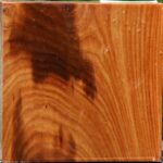 Chinese Elm Bowl Blank