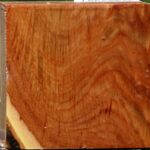 Figured Chinese Elm Bowl Blank