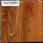 Chinese Elm Bowl Blank