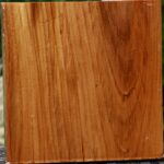 Chinese Elm Bowl Blank