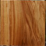 Chinese Elm Bowl Blank