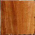 Chinese Elm Bowl Blank