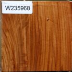 Chinese Elm Bowl Blank