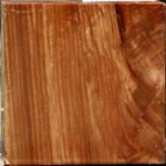 Chinese Elm Bowl Blank