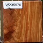 Figured Chinese Elm Bowl Blank