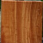 Chinese Elm Bowl Blank