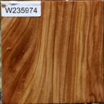 Chinese Elm Bowl Blank