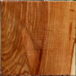 Chinese Elm Bowl Blank