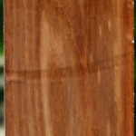 Chinese Elm Peppermill