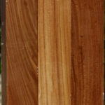 Chinese Elm Turning Square 3 Pack