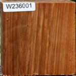 Chinese Elm Bowl Blank