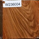 Figured Chinese Elm Bowl Blank